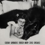 White Feather Hawk Tail Deer Hunter